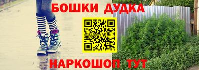 твердый Будённовск